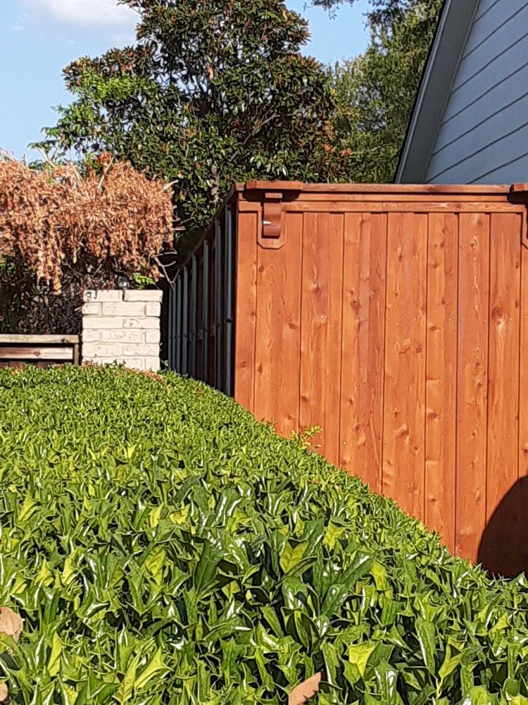 Slide of RestoreTime