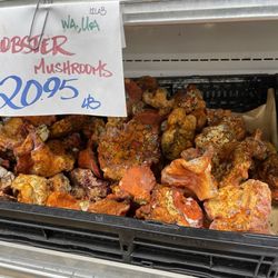 Berkeley Bowl West - Berkeley bowl mushrooms