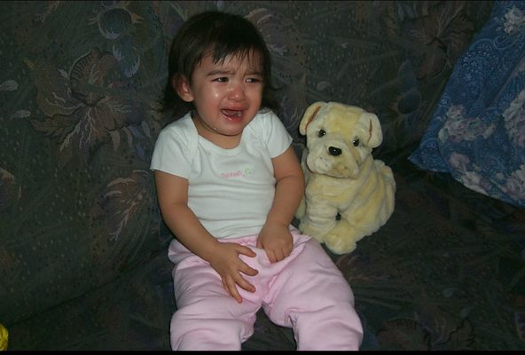 Le Bordelais by null