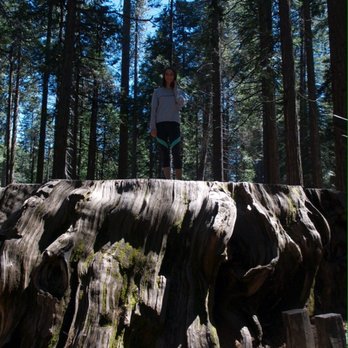 Calaveras Big Trees State Park - Parks Near Me - Arnold, California Calaveras Big Trees State Park - Parks Near Me - Arnold, California