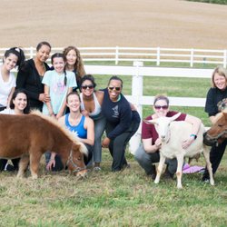 Clarksburg Yoga and Wellness - Mini Horse and Goat Yoga!