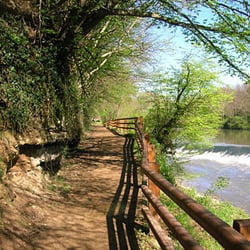 Parco di Monza