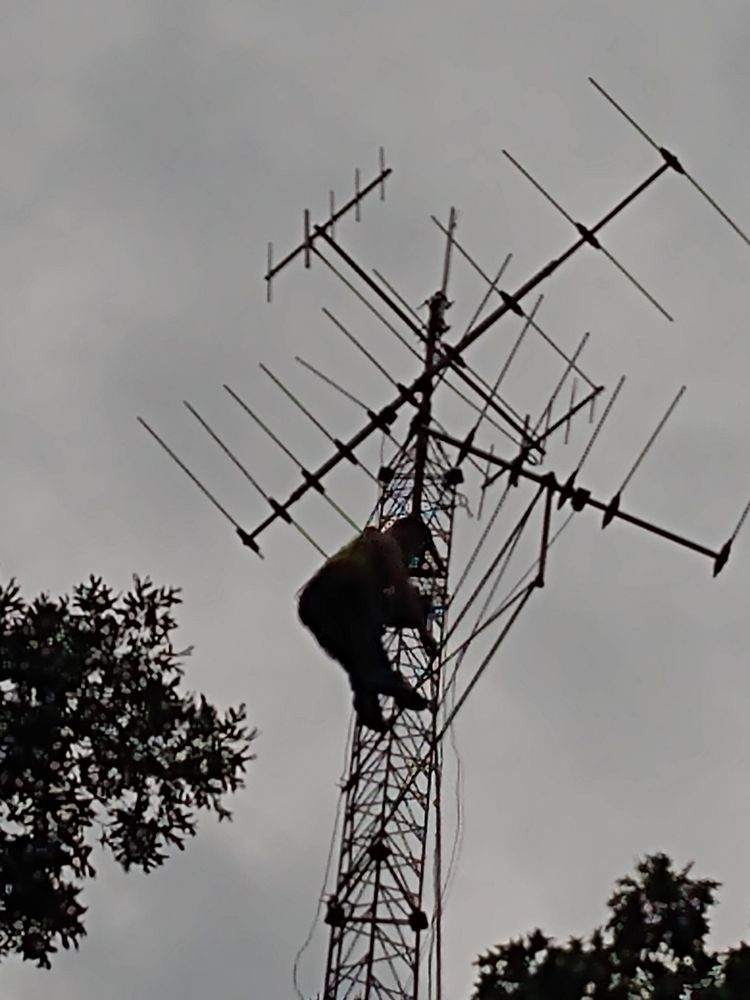 CRAZYBONES CB/HAM RADIO SHOP Updated September 2024 2626