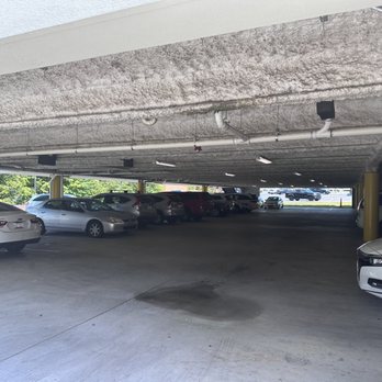 First Watch - Covered free parking - Breakfast & Brunch Near Me - Winston-Salem, North Carolina