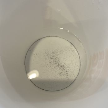 Burger King - Mold and sediment from drink dispenser, also received a chicken sandwich with mold on the bread a health hazard - Fast Food Near Me - Oak Hill, Virginia Burger King - Mold and sediment from drink dispenser, also received a chicken sandwich with mold on the bread a health hazard - Fast Food Near Me - Oak Hill, Virginia