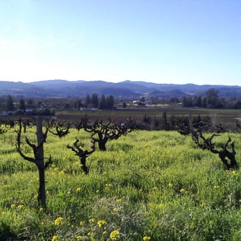 Christopher Creek Winery - Wineries Near Me - Healdsburg, California Christopher Creek Winery - Wineries Near Me - Healdsburg, California