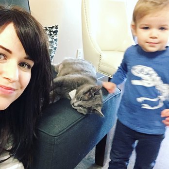 Kitty Brew Cat Cafe - Little did we know we were meeting our new cat! - Pet Adoption Near Me - Mason, Ohio