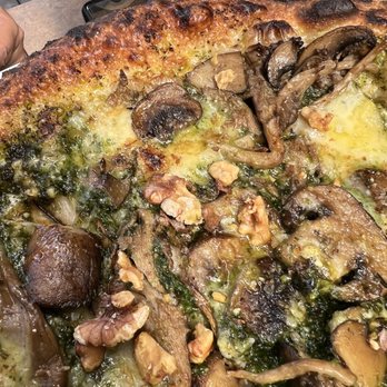 The Matheson - Mushroom - Wine Bars Near Me - Healdsburg, California The Matheson - Mushroom - Wine Bars Near Me - Healdsburg, California
