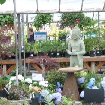 Portland Nursery - Nurseries & Gardening Near Me - Portland, Oregon Portland Nursery - Nurseries & Gardening Near Me - Portland, Oregon