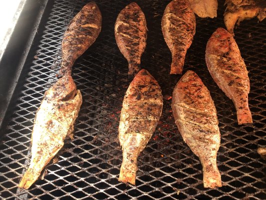 Spicy Water African Grill by null