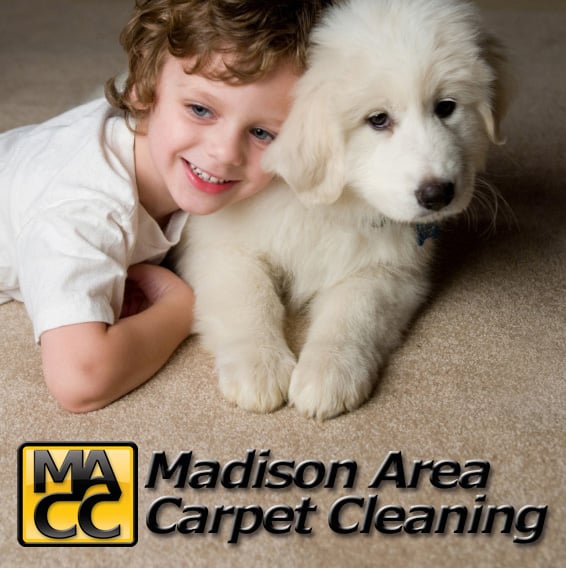 MADISON AREA CARPET CLEANING Updated September 2024 4441 Robertson