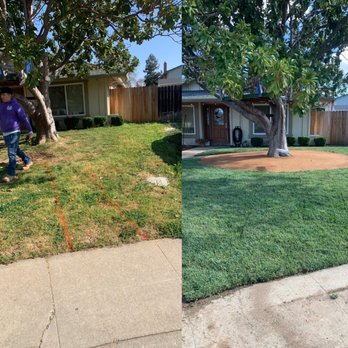 Jb Landscaping - Sod - Landscaping Near Me Jb Landscaping - Sod - Landscaping Near Me