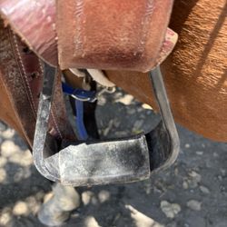 Garrod Farms Riding Stables - This is stirrup.            Yay.