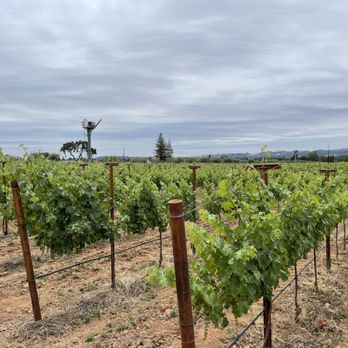 Hagafen Cellars - the vineyard - Wineries Near Me - Napa, California