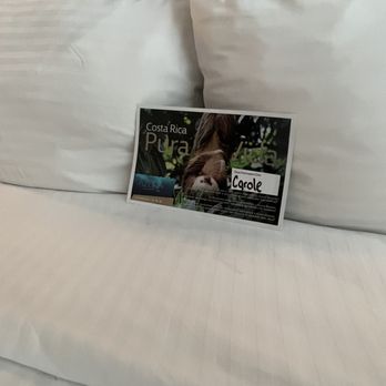 Travel Luxe - Cute note left on my bed upon entry - Travel Agents Near Me Travel Luxe - Cute note left on my bed upon entry - Travel Agents Near Me