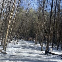 Dog Park at Dufresne Park