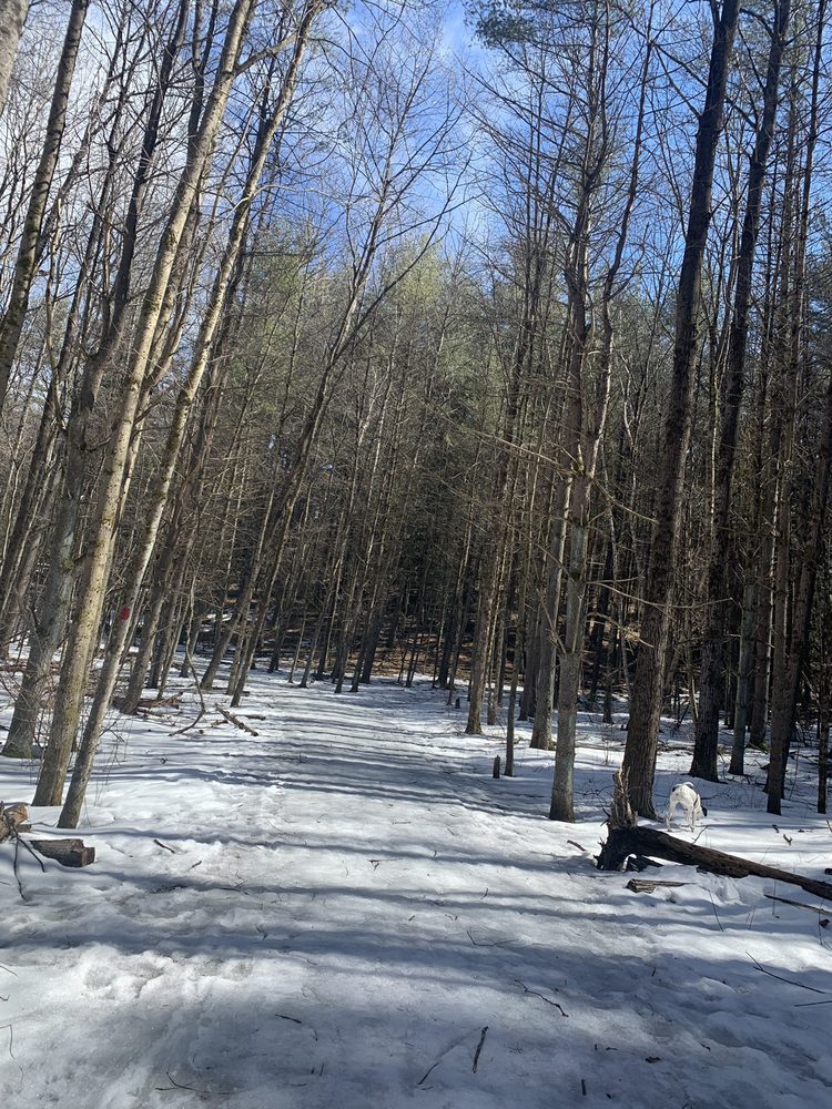 DOG PARK AT DUFRESNE PARK 1959 Taylor St, Granby, MA Yelp