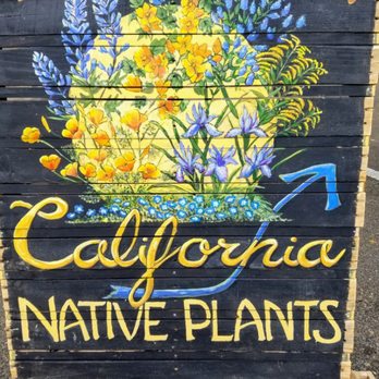 The Garden - Growers of CA native plants - Nurseries & Gardening Near Me - Sonora, California The Garden - Growers of CA native plants - Nurseries & Gardening Near Me - Sonora, California