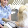 Photo of Eastport Dental Centre