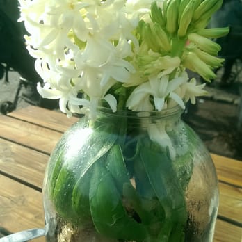 Pavillon am Ufer - Fresh flower - Food Stands Near Me - Berlin, BE