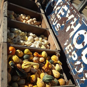 Peltzer Pumpkin Farm - Beautiful pumpkins - Pumpkin Patches Near Me - Temecula, California