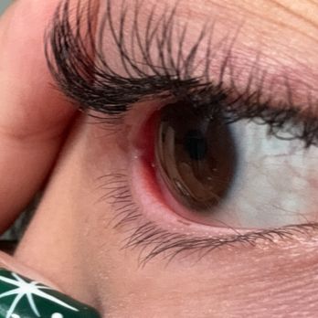 Amazing Lash Studio - Eyelash Service Near Me - Tampa, Florida