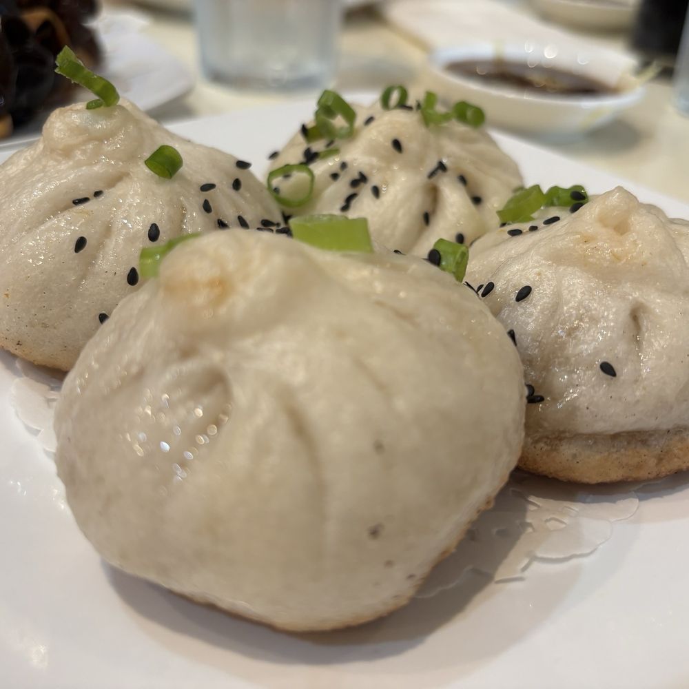 Soup Dumpling Plus - Pan fried pork buns close-up - Shanghainese Near Me - Fort Lee, New Jersey Soup Dumpling Plus - Pan fried pork buns close-up - Shanghainese Near Me - Fort Lee, New Jersey