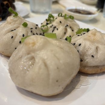 Soup Dumpling Plus - Pan fried pork buns close-up - Shanghainese Near Me - Fort Lee, New Jersey