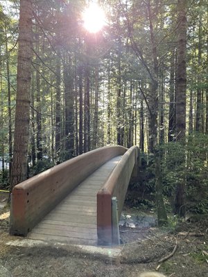 Lady Bird Johnson Grove Trail by null