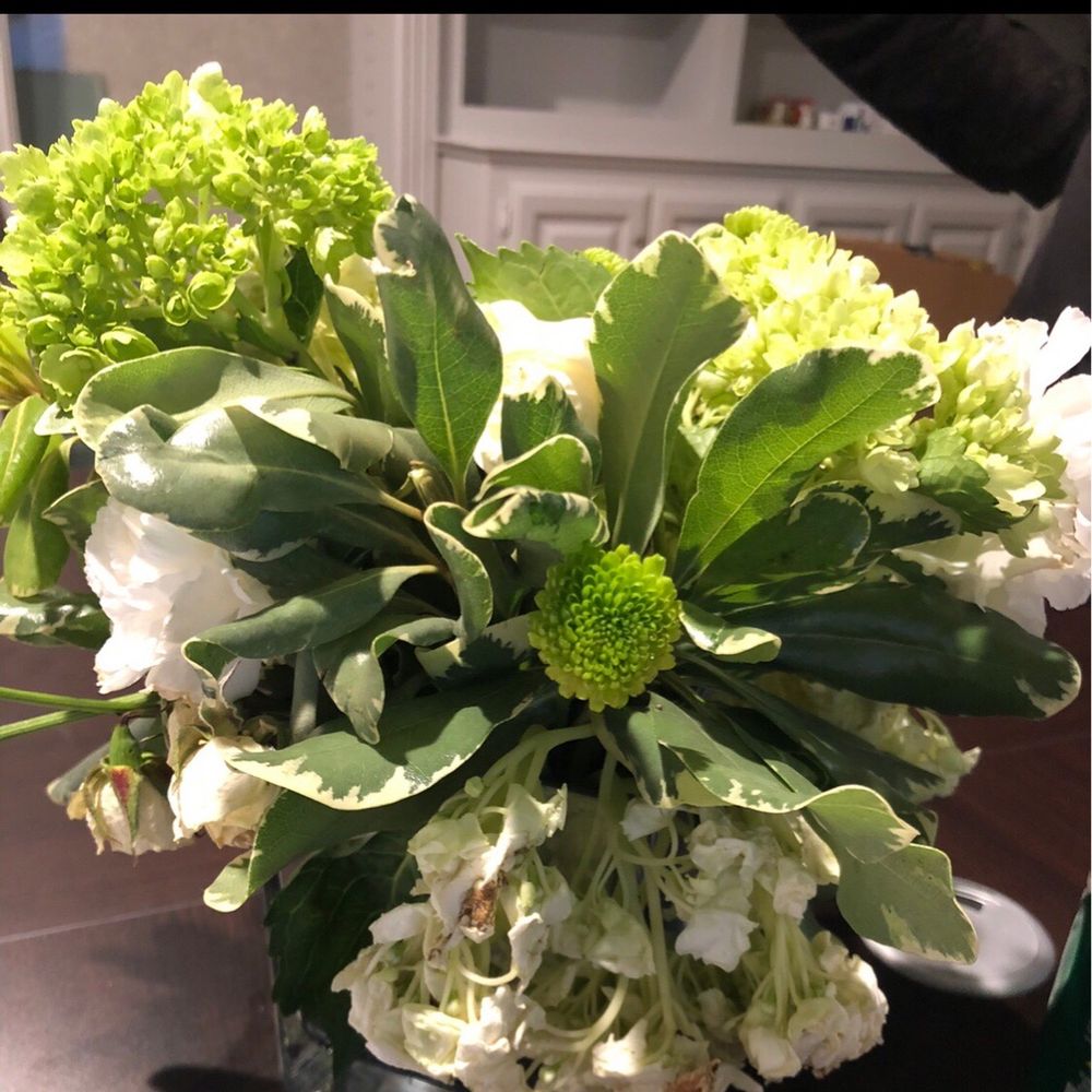 All Blooming Flowers - Day 3 - Practically Dead - so disappointing - Florists Near Me - Dallas, Texas All Blooming Flowers - Day 3 - Practically Dead - so disappointing - Florists Near Me - Dallas, Texas