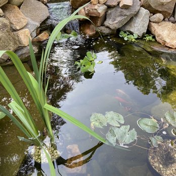 Turpin Landscape Design Build - Pond - Landscaping Near Me - Coatesville, Pennsylvania Turpin Landscape Design Build - Pond - Landscaping Near Me - Coatesville, Pennsylvania