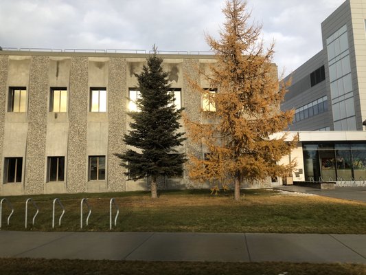 University of Alaska Fairbanks by null