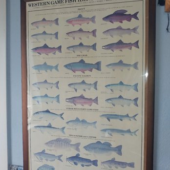 Mill Creek Fish N Chips - Fish & Chips Near Me - Quincy, California Mill Creek Fish N Chips - Fish & Chips Near Me - Quincy, California