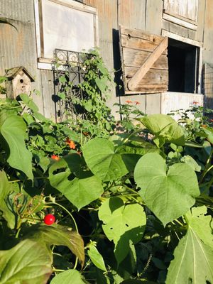 Borner Farm Project by null