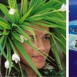 Blumenreisen