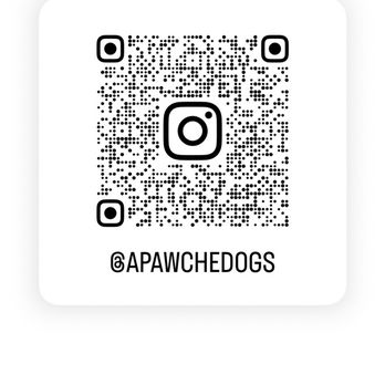 Apawche Dogs - Instagram - Pet Boarding Near Me - Oakland, California Apawche Dogs - Instagram - Pet Boarding Near Me - Oakland, California