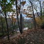 The Riverwood Conservancy
