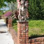 Photo of A-Z Dogs