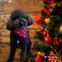 Photo of Furr-Nley's Pet Spa