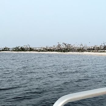 Adventures In Paradise - Boating Near Me - Fort Myers, Florida