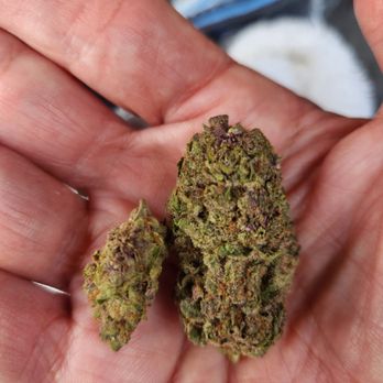 Exoticblooms - Taste like burnt weed - Head Shops Near Me