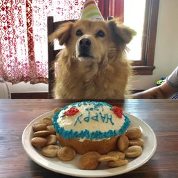 Sundance's birthday cake Sundance's birthday cake