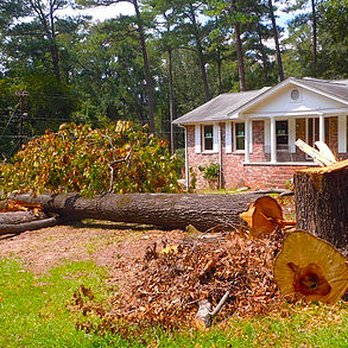 Jimmy's Tree Service - Jimmy's Landscaping & Tree Service South Jersey - Tree Services Near Me Jimmy's Tree Service - Jimmy's Landscaping & Tree Service South Jersey - Tree Services Near Me
