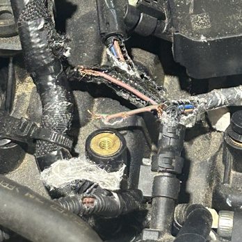 Techz That Care - Mice chewing on my wire cords - Auto Repair Near Me - Wilmington, North Carolina Techz That Care - Mice chewing on my wire cords - Auto Repair Near Me - Wilmington, North Carolina