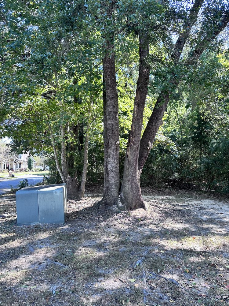 Happy Sabbath Tree Service - tree service in Gulfport, MS