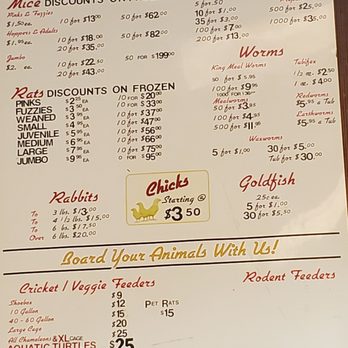 East Bay Vivarium - Live food menu - Reptile Shops Near Me - Berkeley, California