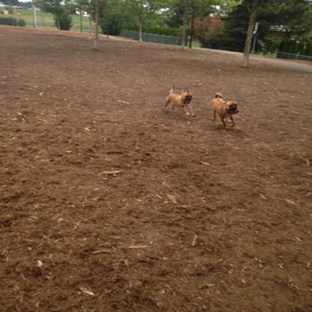 Riverside Dog Park - Full speed ahead!!! - Dog Parks Near Me - McMinnville, Oregon