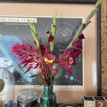 Henry's Gardens - Gladiolus, coleus - Nurseries & Gardening Near Me - Eden, New York