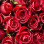Rose Cleaning