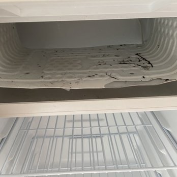 Quality Inn - Inside the fridge - Hotels Near Me - Jesup, Georgia Quality Inn - Inside the fridge - Hotels Near Me - Jesup, Georgia